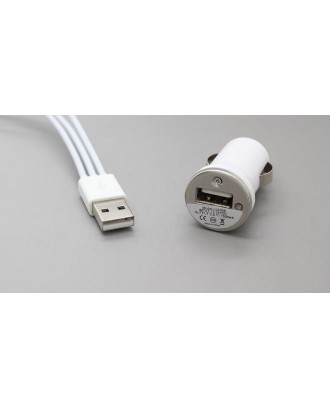 USB Car Power Adapter + 1-to-3 Data / Charging Cable for Apple iDevices