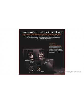 XDuoo TA-20 Balanced Tube Stereo Audio Headphones Amplifier