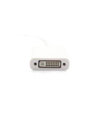 Mini Displayport to DVI Adapter Cable (17cm)